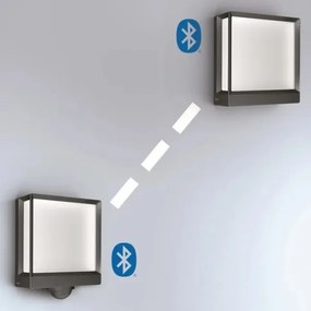 Steinel 085230 - LED Vonkajšie nástenné svietidlo L40C LED/12,9W/230V IP54