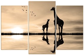 Obraz na plátne - Žirafy silueta 1919FC (120x80 cm)