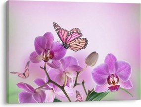 Obraz - Motýľ na kvetoch orchidey, lila (70x50 cm)