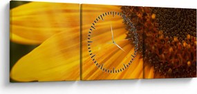 Obraz - Slnečnica (s hodinami) (90x30 cm)