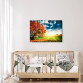 Obraz krajiny zaliate slnečným svitom (90x60 cm)