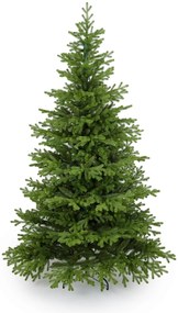 Smrek Tirolský 3D- 260cm