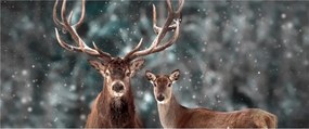 Obraz - Jeleň a laň v zasneženom lese (120x50 cm)