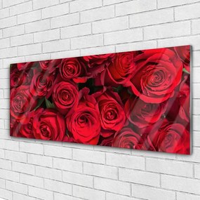 Obraz plexi Červené ruže kvety príroda 125x50 cm
