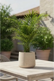 Kvetináč TROPICO, sklolaminát, výška 29 cm, béžová