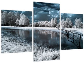 Obraz - Zamrznutá krajina (90x60 cm)