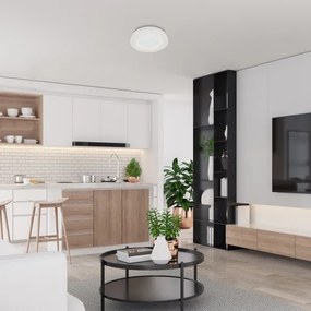 Rabalux - LED Stmievateľné stropné svietidlo LED/38W/230V biela + DO 3000-6500K