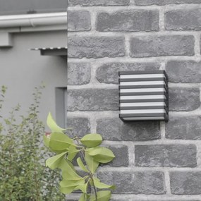 LED vonkajšie nástenné svietidlo MAXWELL LED/10W/230V IP54 antracit