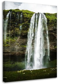 Obraz na plátně Vodopád Les Příroda Hora - 60x90 cm