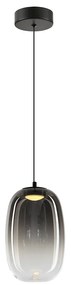 Závesné svietidlo Vaso, 1x grafitové sklenené tienidlo, (fi 13cm), b