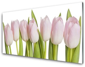 Skleneny obraz Tulipány kvety rastlina 100x50 cm