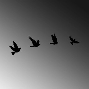 Nástěnná kovová dekorace Pigeons černá