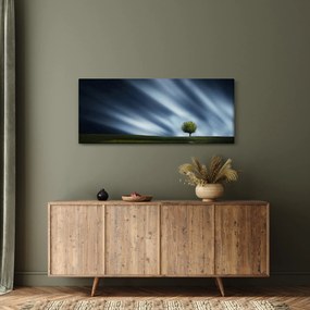 Obraz polárna žiara nad vresoviskom (120x50 cm)