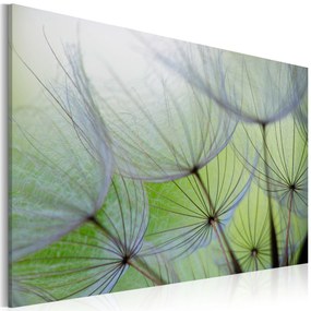 Artgeist Obraz - Dandelion in the wind Veľkosť: 120x80, Verzia: Premium Print