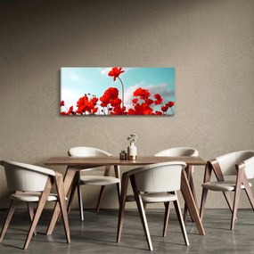 Obraz poľa s jasne červenými kvetmi (120x50 cm)