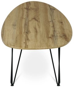 Odkladací stolík 120 x 67 cm, divoký dub
