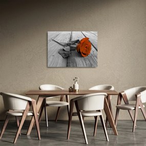 Sklenený obraz - Oranžová ruža (70x50 cm)