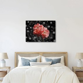 Sklenený obraz ružovej kvetiny (70x50 cm)