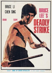 Ilustrácia Bruce Lee's Deadly Strike