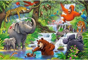 Puzzle 40 dielikov, Zvieratá z džungle