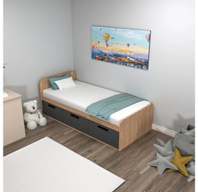Jednolôžková posteľ 90 cm Pelavi 1 (borovica atlantická + antracit) (s roštom). Vlastná spoľahlivá doprava až k Vám domov. 1094838