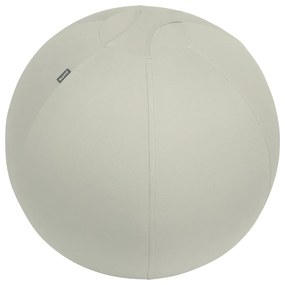 Ergonomická sedacia lopta so závažím ø 65 cm Ergo – Leitz