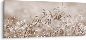 Obraz - Lúka v hnedých tónoch (120x50 cm)