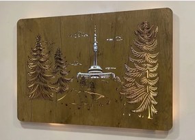 Obrazy na stenu Vysielač na vrchu