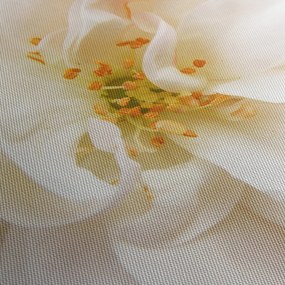 Obraz - Kvet (120x50 cm)