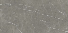 Dlažba Eternal Dark Natural 60x120 R