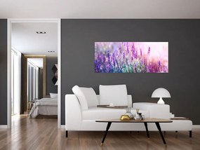 Obraz - Levanduľa vo trblietania slnka (120x50 cm)