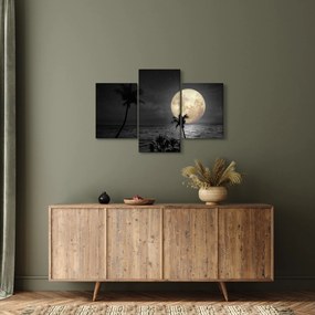 Obraz - Pláž za splnu v šedých tónoch (90x60 cm)
