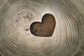 Samolepiaca tapeta symbol lásky na dreve - 150x100