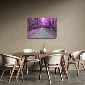 Obraz - Cesta parkom (70x50 cm)