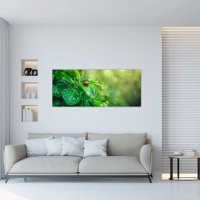 Obraz - Lienka (120x50 cm)