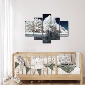 Obraz - Snehobiele stromy (150x105 cm)