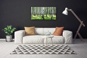 Obraz Canvas Les tráva rastlina príroda 120x60 cm