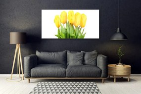 Obraz plexi Tulipány kvety rastlina 120x60 cm