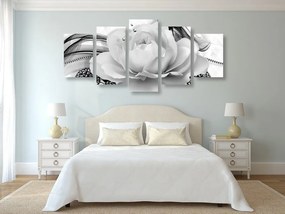 5-dielny obraz luxusná ruža v čiernobielom prevedení - 200x100