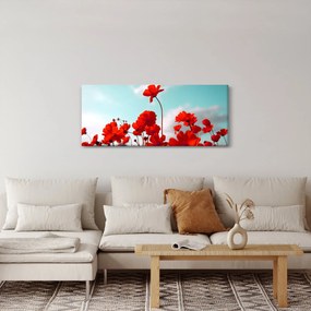 Obraz poľa s jasne červenými kvetmi (120x50 cm)