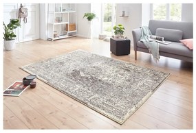 Sivo-krémový koberec Hanse Home Celebration Plume, 160 x 230 cm