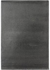 Koberce Breno Kusový koberec DOLCE VITA 01/GGG, sivá,120 x 170 cm