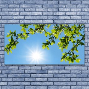 Obraz na akrylátovom skle Slnko príroda 120x60 cm