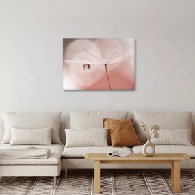 Obraz - Kvapka rosy (70x50 cm)