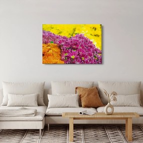 Obraz ružového kvetu (90x60 cm)