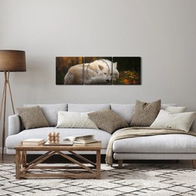 Obraz - Odpočívajúci vlk (s hodinami) (90x30 cm)
