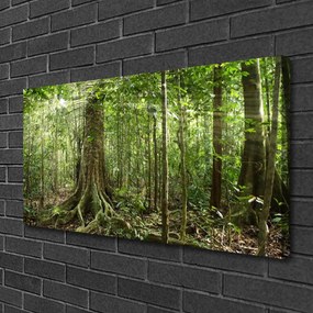 Obraz Canvas Les príroda džungle 120x60 cm