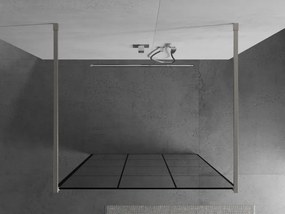 Mexen Kioto, sprchová zástena Walk-In 100 x 200 cm, 8mm sklo čierny vzor, brúsená oceľ profil,  800-100-002-97-77