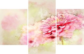 Obraz - Ružový kvet, aquarel (90x60 cm)
