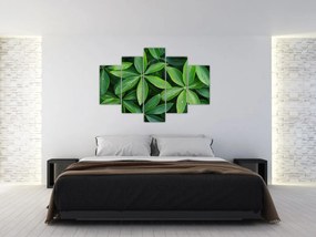Obraz - Listy s kvapkami rosy (150x105 cm)
